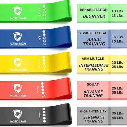 Pro Resistance Bands Set of 5 - Long Rubber Band for Home, Gym, and Physical Therapy with Glute Extension Instruction Guide